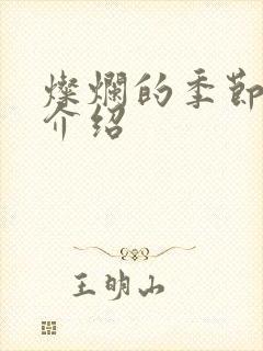 灿烂的季节剧情介绍