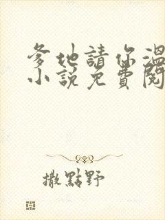 爹地请你温柔点小说免费阅读