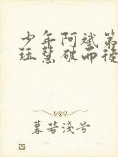 少年阿斌第二部珏慧破而后立封面