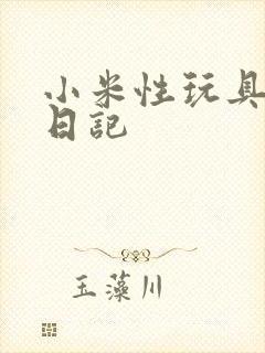 小米性玩具羞辱日记
