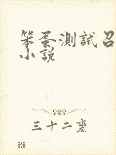 笨蛋测试召唤兽小说
