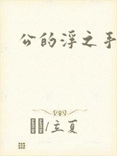 公的浮之手中字