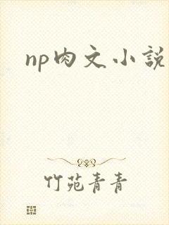 np肉文小说