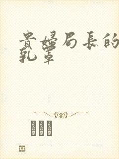 贵妇局长的蕾丝乳罩