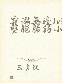 宠溺无边1v3双胞胎的小说