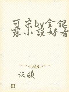 可宋by金银花露小说好看吗