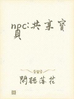 npc:共享宝贝