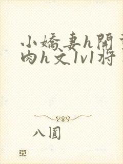 《小娇妻h开荤粗肉h文1v1将军》小说封面