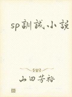 sp训诫小说