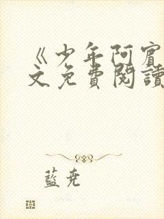 《少年阿宾》全文免费阅读