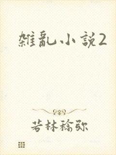 杂乱小说2