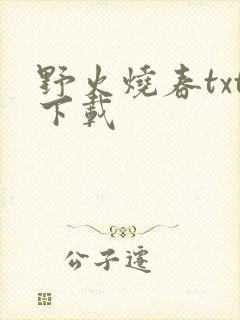 野火烧春txt下载