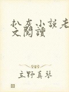 扒灰小说老马全文阅读