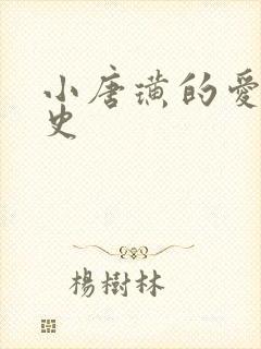 小唐璜的爱情历史