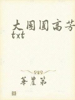 大团圆高芳小说txt