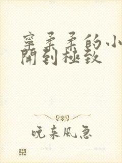 宁柔柔的小泬撑开到极致