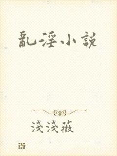 乱淫小说封面