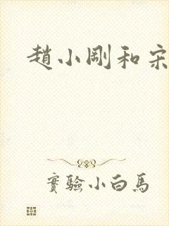 赵小刚和宋雨晴