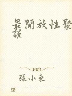 最开放性聚会小说