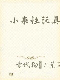 小米性玩具日记