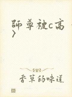 师尊被c高〈h〉