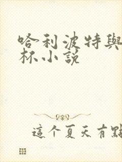 哈利波特与火焰杯小说