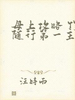 母上攻略 竹影随行第一主板