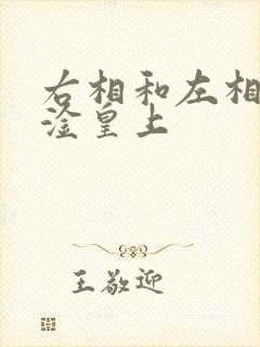 右相和左相一起淦皇上