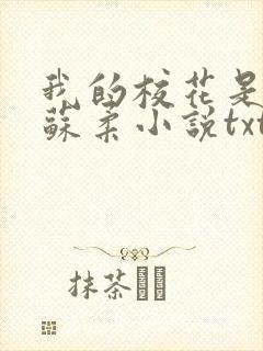 我的校花是福姬苏柔小说txt