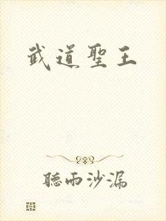 武道圣王