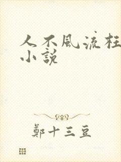 人不风流枉少年小说