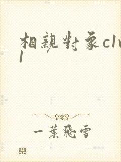相亲对象c1v1
