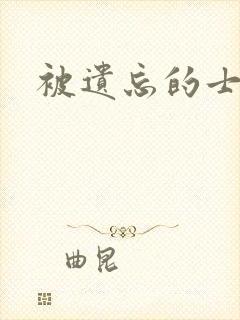 被遗忘的士兵
