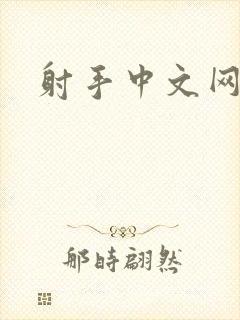 射手中文网封面