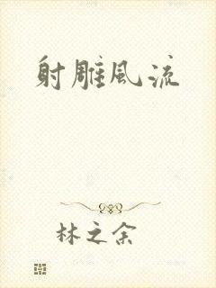 射雕风流