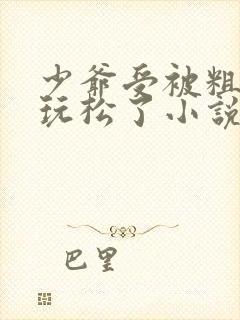 少爷受被粗汉H玩松了小说封面