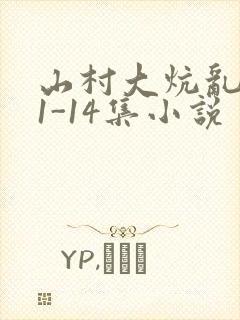 山村大炕乱肉续1-14集小说