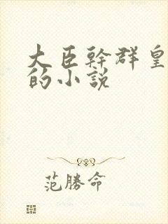 大臣干群皇太后的小说