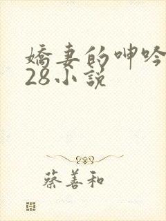 娇妻的呻吟1—28小说