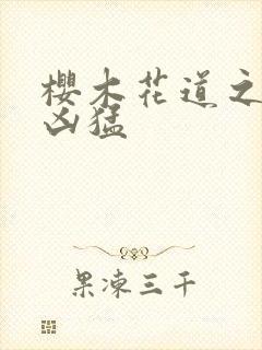 樱木花道之重生凶猛