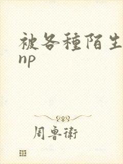 被各种陌生人 np