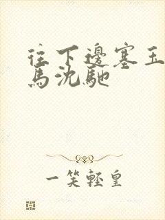 往下边塞玉器骑马沈驰封面