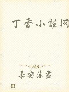 丁香小说网