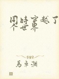 同时穿越了99个世界