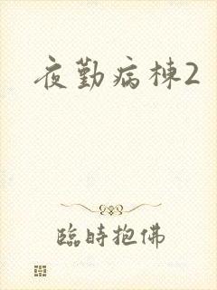 《夜勤病栋2》小说封面