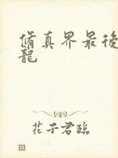 修真界最后一条龙