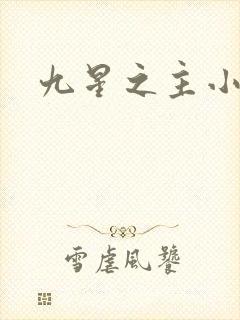 九星之主小说封面