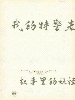 我的特警老婆