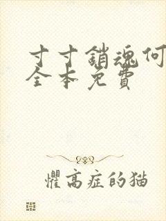 寸寸销魂何生祥全本免费