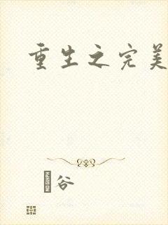 重生之完美一生封面